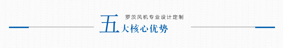 羅茨風機專業設計定制，五大核心優勢